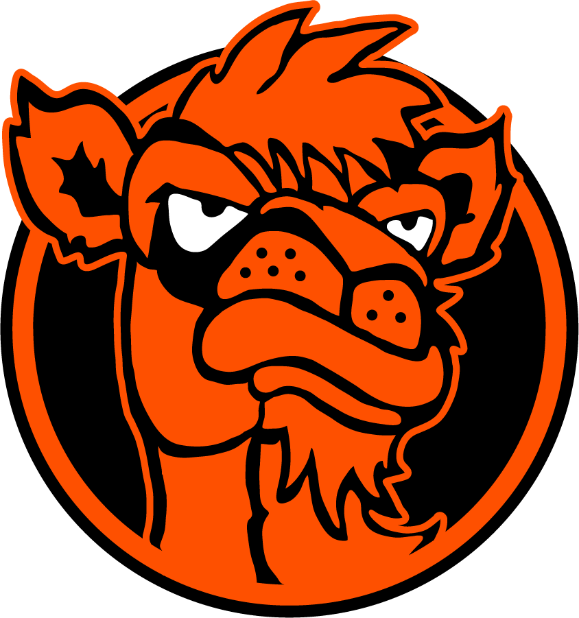 Campbell Fighting Camels 2004-2005 Secondary Logo diy iron on heat transfer